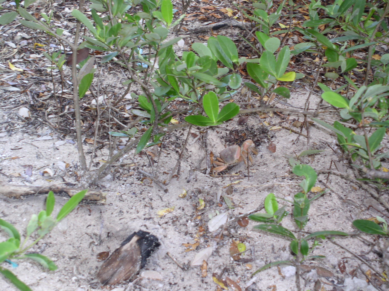 photo1